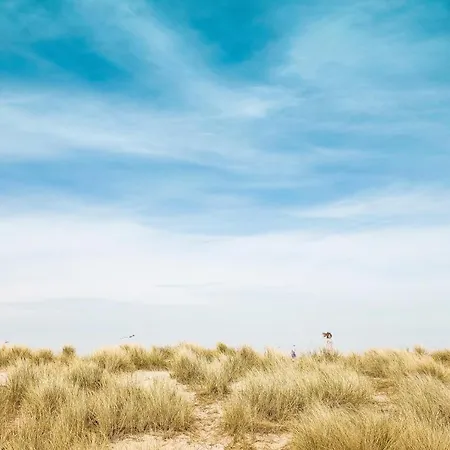 Peralta - Adults Only Hotel Renau