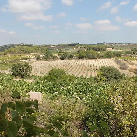 Peralta - Adults Only