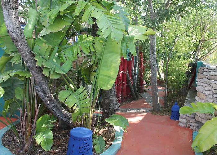Peralta - Adults Only 3* Renau